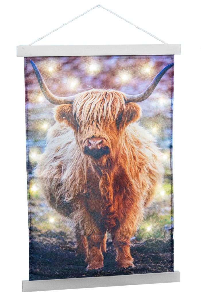 Wandkleed Schotse Hooglander met lampjes